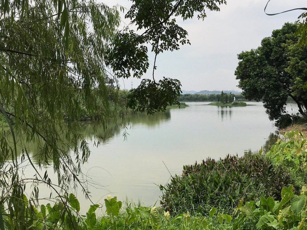 Haoyang Lake Nature Reserve